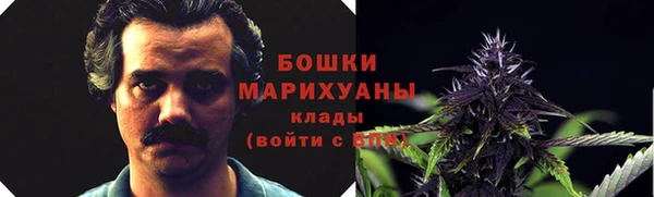 дмт Семёнов
