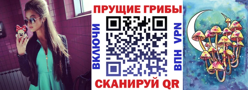 Псилоцибиновые грибы мицелий  дарнет шоп  Омутнинск 